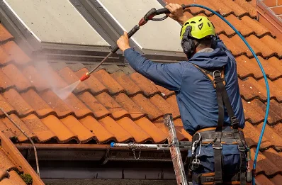 Démoussage et hydrofuge de toiture à Saint-Georges-Buttavent